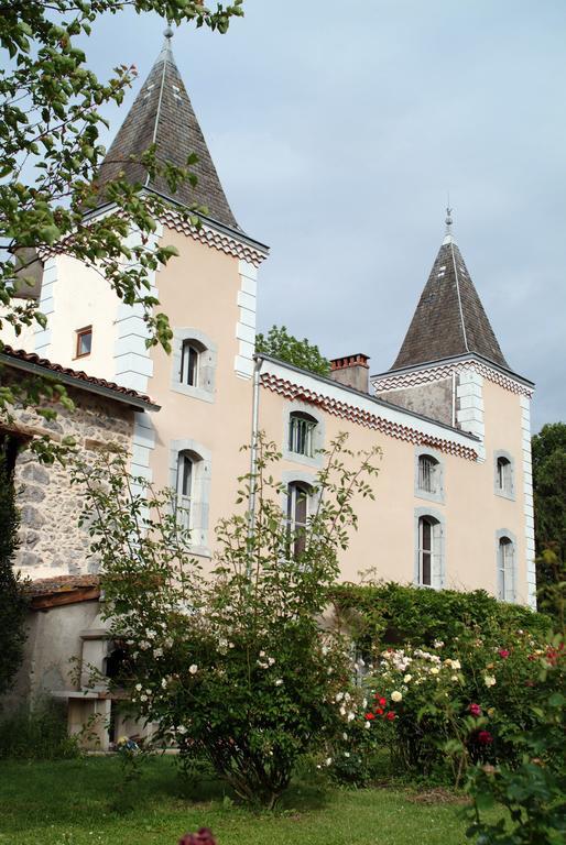 Hotel Logis - Chateau De Beauregard Saint-Girons  Esterno foto