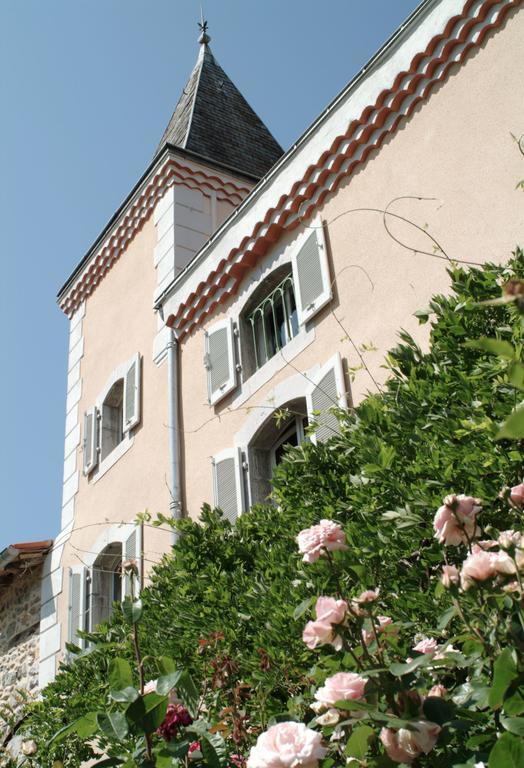 Hotel Logis - Chateau De Beauregard Saint-Girons  Esterno foto